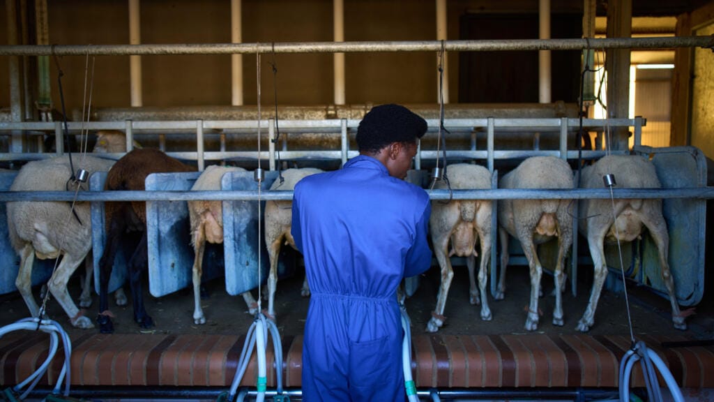 **Headline:** Spain to Grant Legal Status to 500,000 Undocumented Migrant Workers