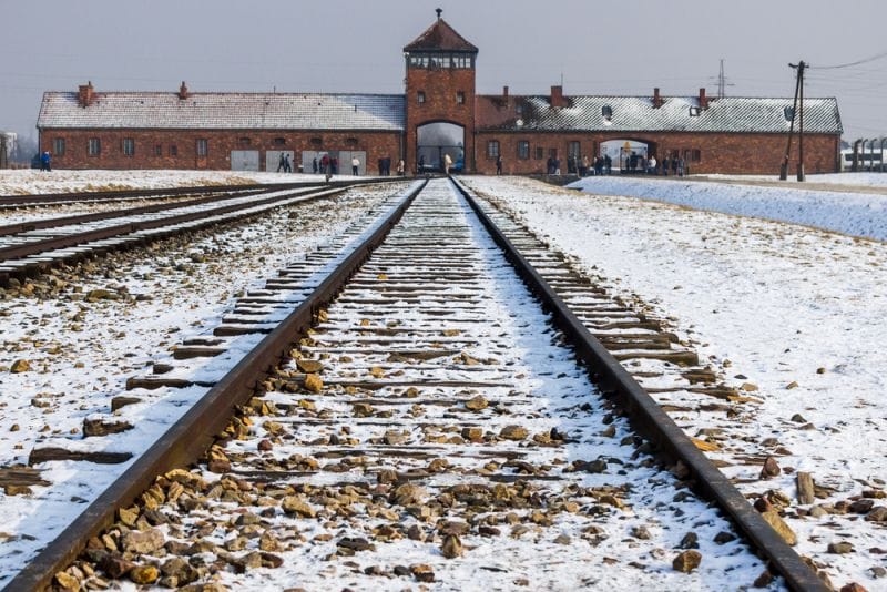 **Headline:** Italy Commemorates 81 Years Since Auschwitz Liberation on Holocaust Remembrance Day