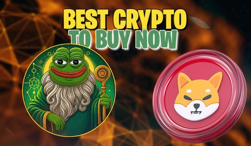 **Headline:** On-Chain Analytics Indicate Pepeto Shows Stronger Holder Commitment Compared to Shiba Inu