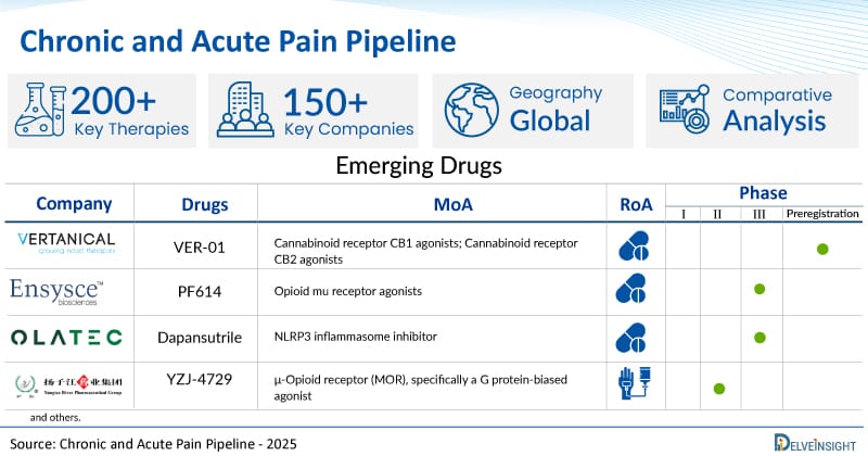 **Headline:** Analysis of Clinical Trials for Chronic and Acute Pain: Over 150 Companies Developing New Therapeutics