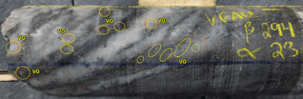 **West Red Lake Gold Reports Initial Infill Drilling Results at Rowan Project**