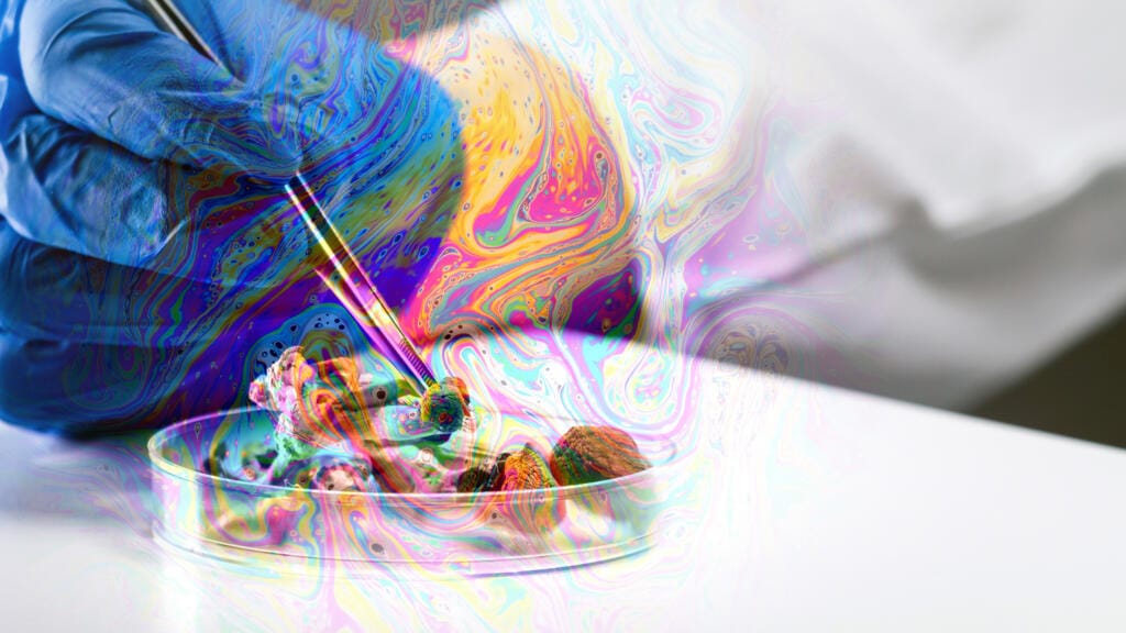 **Headline:** Psychedelic Therapy Expands in Europe with Careful Regulation