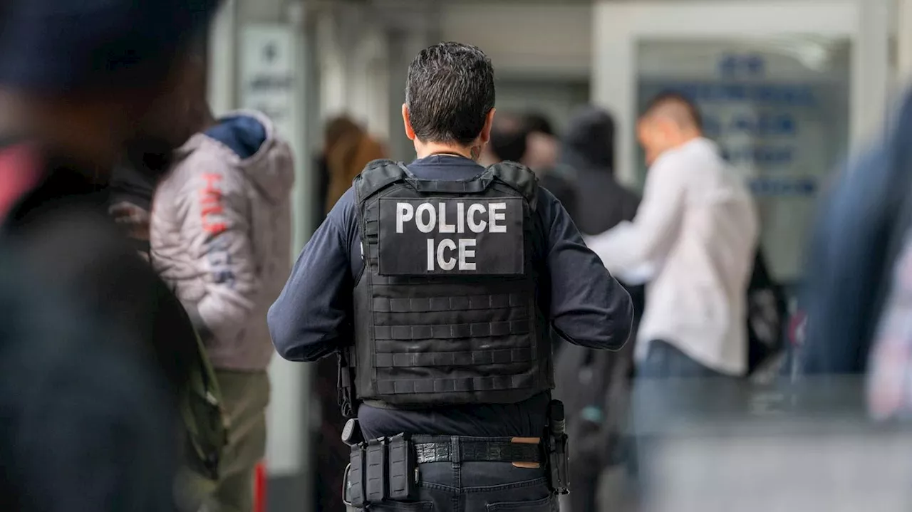 **Headline:** Palantir, AT&T, and Deloitte Hold Largest ICE Contracts Amid Calls to Defund DHS