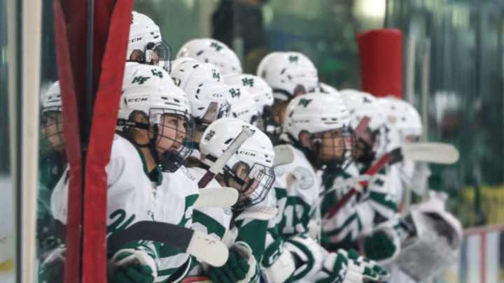 **Minnesota High School Girls Hockey Section Tournaments Start February 2026**