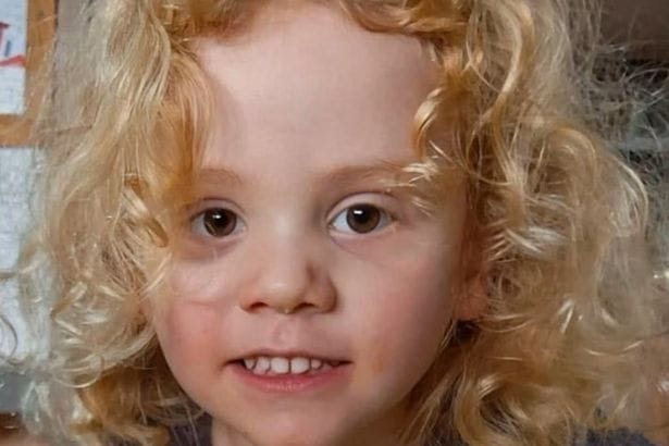 **Headline:** Police Identify Suspect in Case of Missing 4-Year-Old Gus Lamont