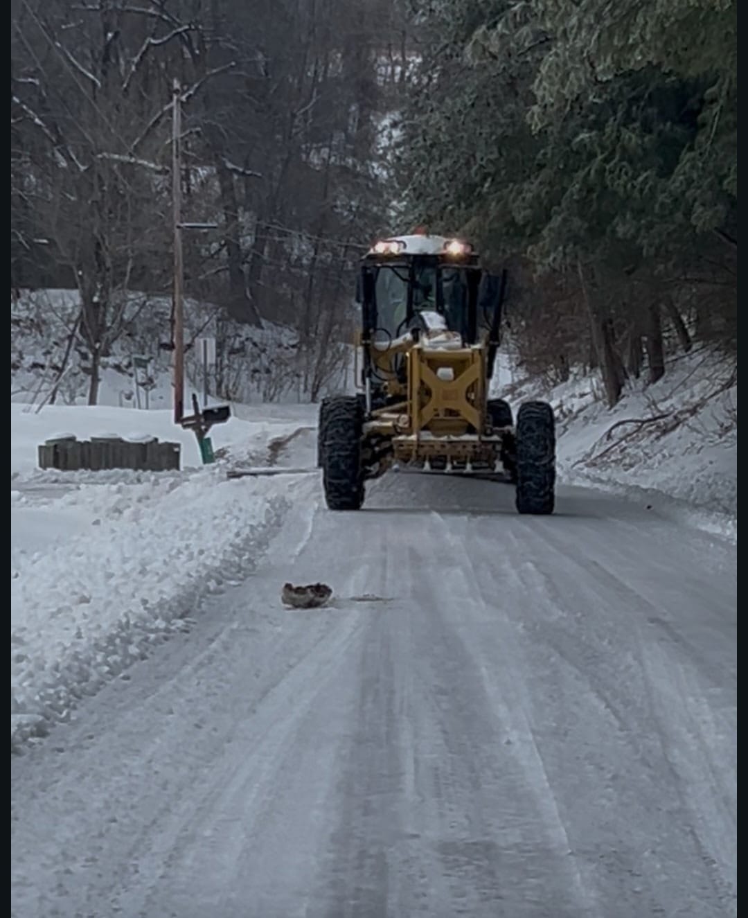 **Headline:** Department of Highways Reports Increase in Potholes After Cold Weather