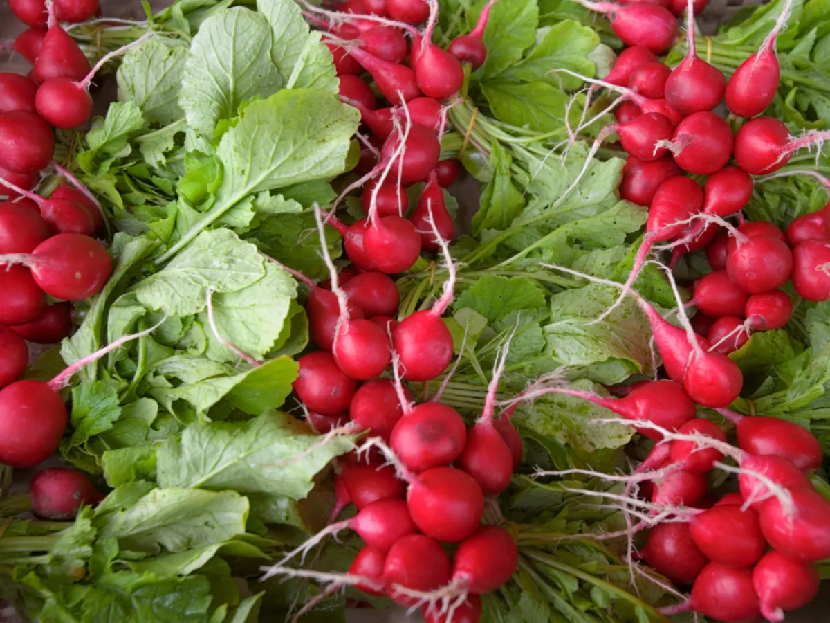 **Headline:** Swiss Organic Wholesaler Horai Declares Bankruptcy After 42 Years