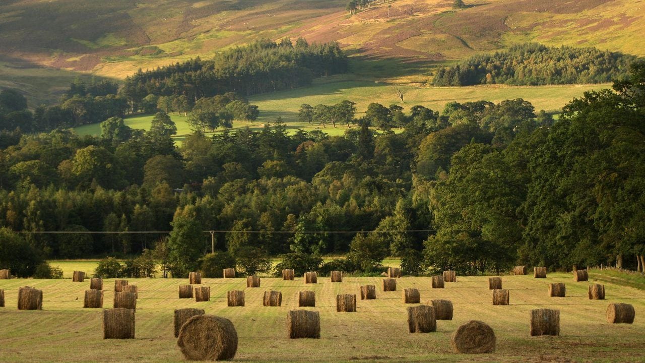 **Headline:** First Minister Commits to Supporting Scotland’s Farming Industry