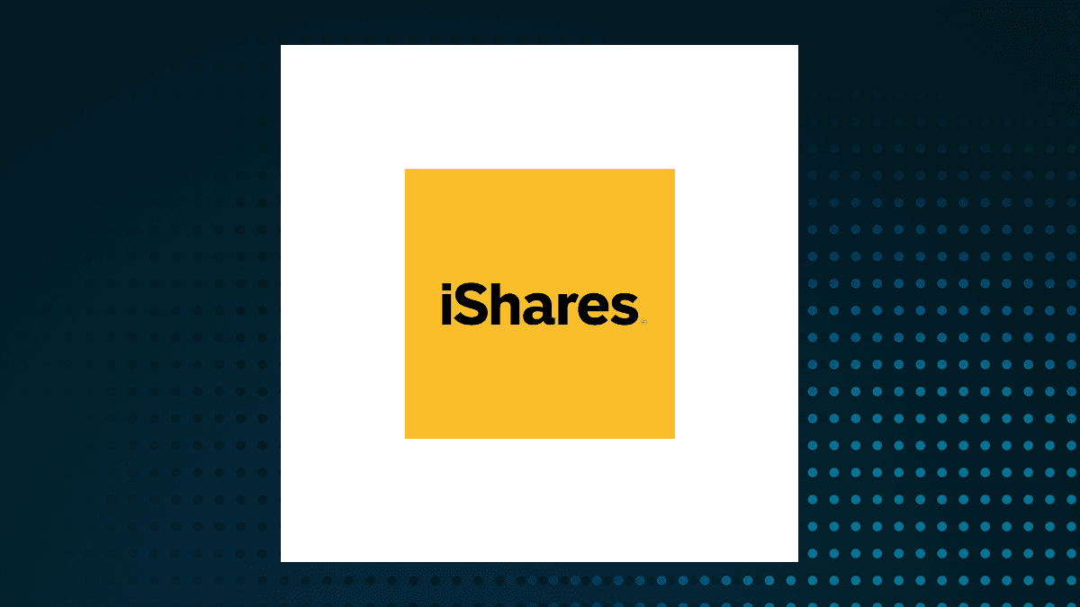 **iShares iBonds Dec 2029 Term Muni Bond ETF Shares Decline Slightly**