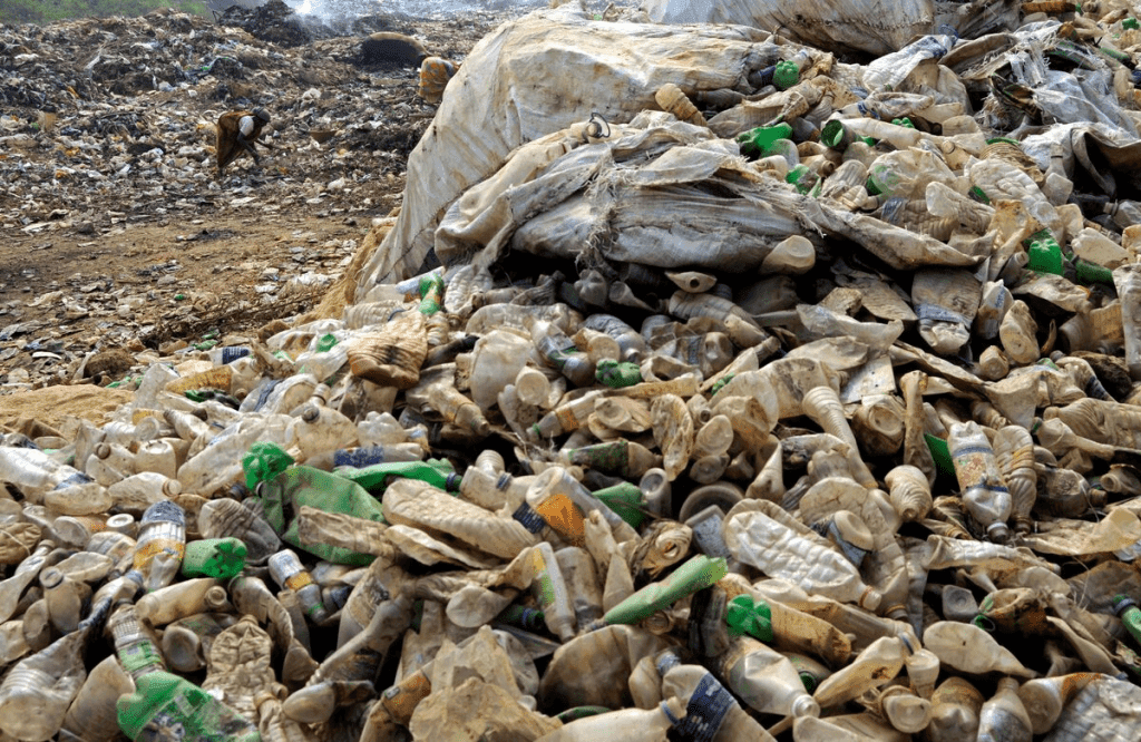 **Headline:** EU Member States Approve Expanded Use of Chemical Recycling in Plastic Bottle Production