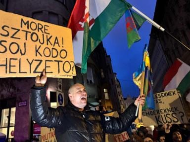**Headline:** Hundreds Rally in Budapest Against Government Minister’s Controversial Remarks